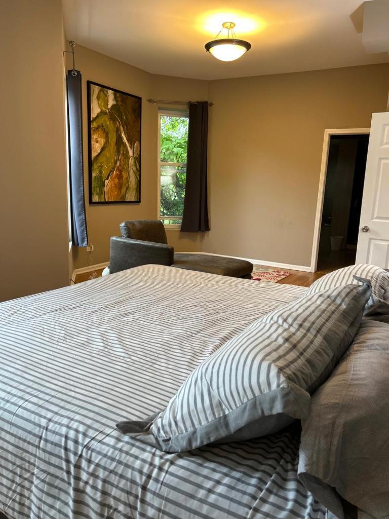 Gorgeous North Kenwood Hyde Park Unit Apartment Chicago Bagian luar foto