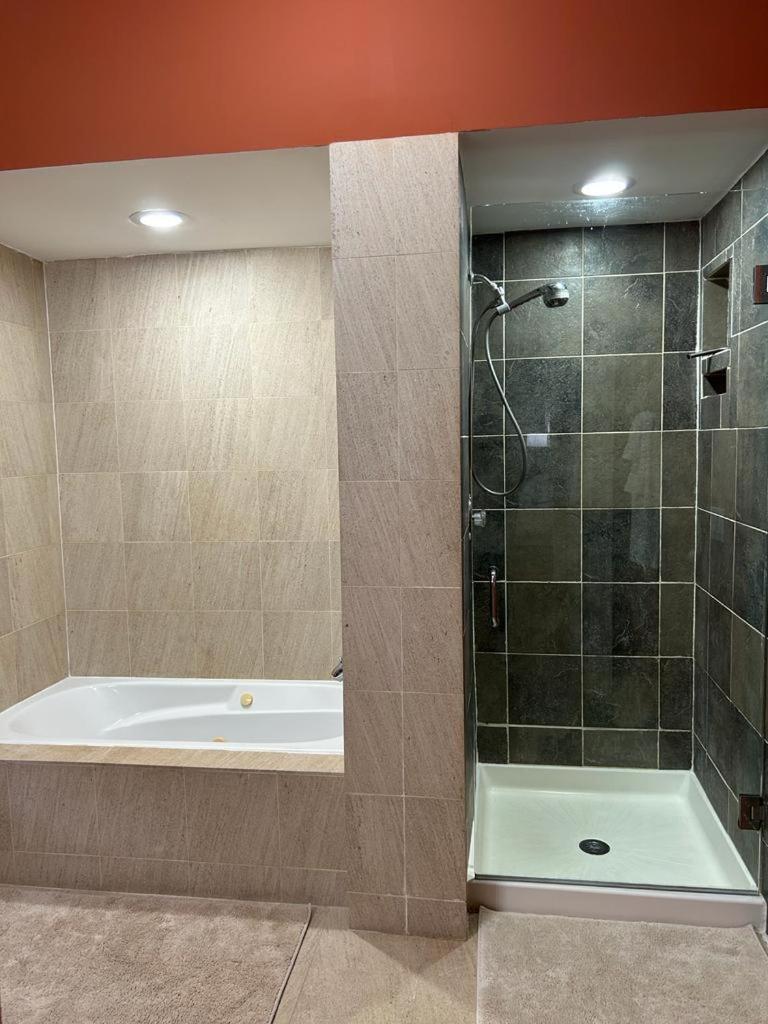 Gorgeous North Kenwood Hyde Park Unit Apartment Chicago Bagian luar foto